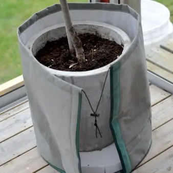 Vinterbeskyttelse til krukker