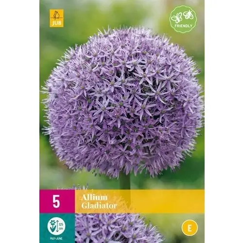 Prydløg Gladiator XXL