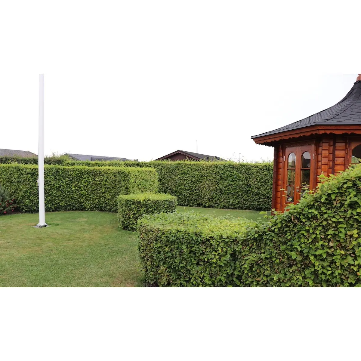 Bøgehæk med lysthus i baggrunden