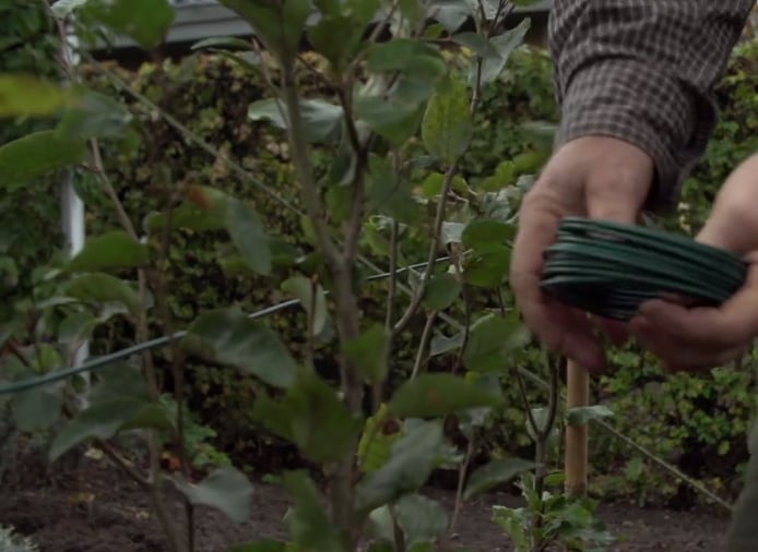 Komplet opbindingsgrej til hækplantning 5 m.
