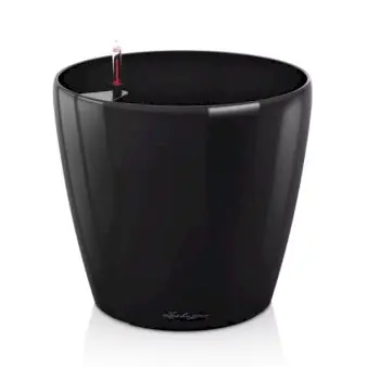 Lechuza Classico Premium - Model 70 - Sort med højglans