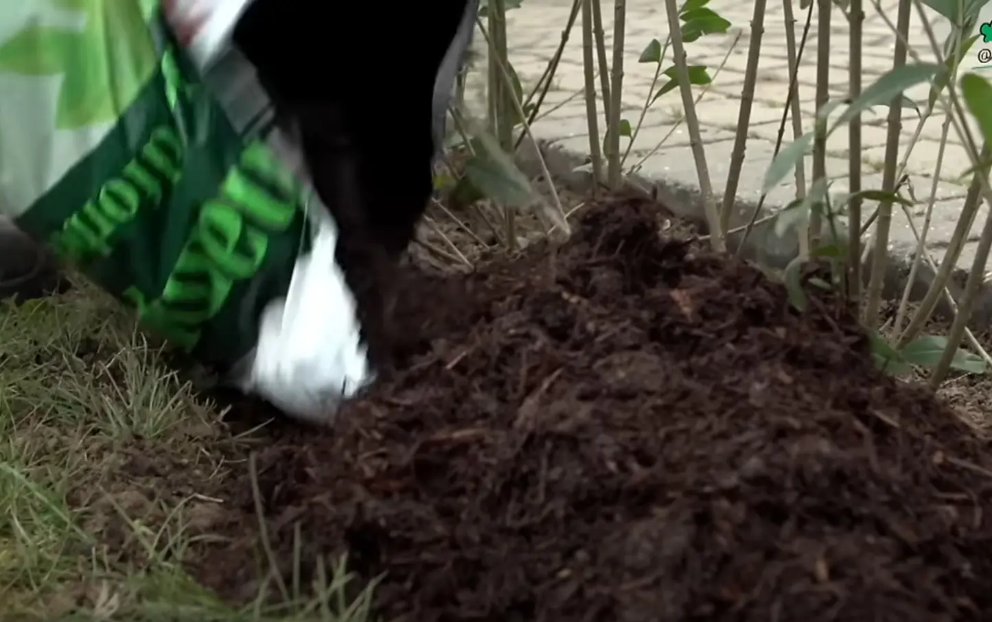 Hækbooster til 30 meter hæk. Champost naturgødning og jordforbedring i 50 liter sække.