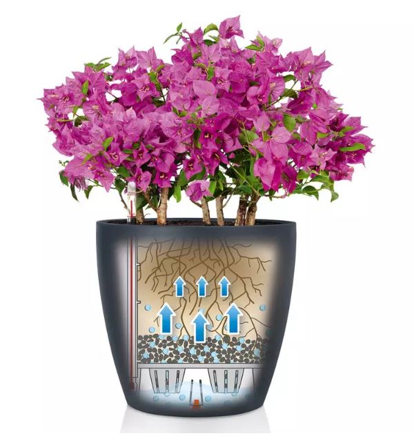 Lechuza classico med selvvanding