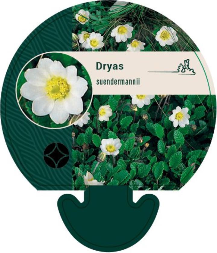 Rypelyng - Potte 0,8 Liter