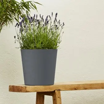 Element, Conical krukke - Ardoise - Ø25 cm