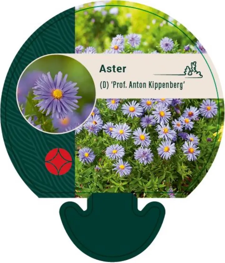 Pudeasters - Potte 0,8 Liter