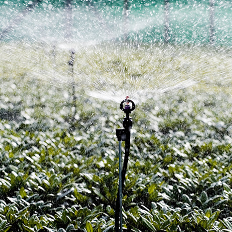 Sprinkler komplet, Sprinkler komplet, Få den perfekte vanding til dine bede, let og overskueligt. Sættes kan etableres permanent, eller flyttes fra bed til bed. Kan kombineres med Aqua-Pro vandings-computer Sprinklerne sættes med ca. 3 meter ml. hver. • O