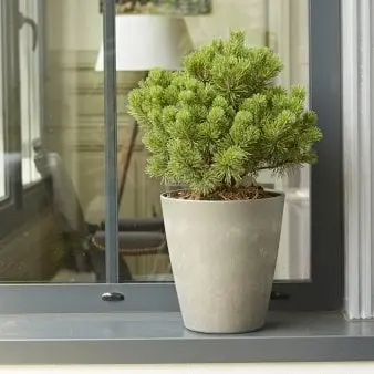 Material krukke - Cement - Ø30 cm