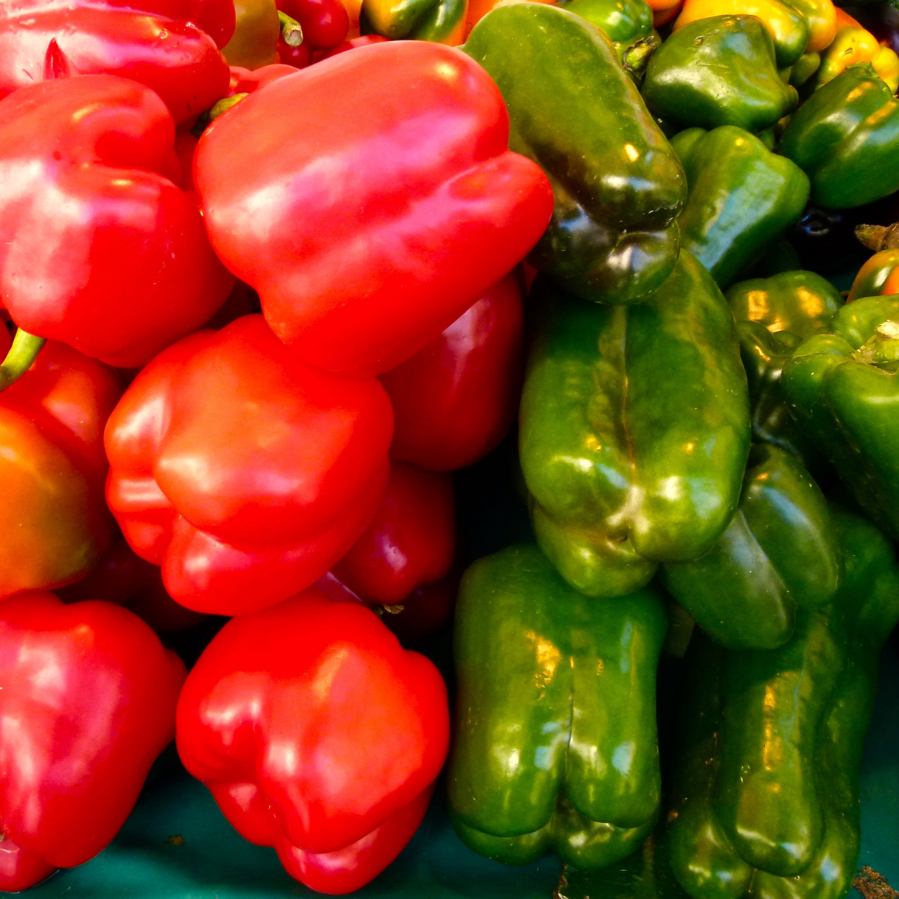 Sød Peber California Wonder