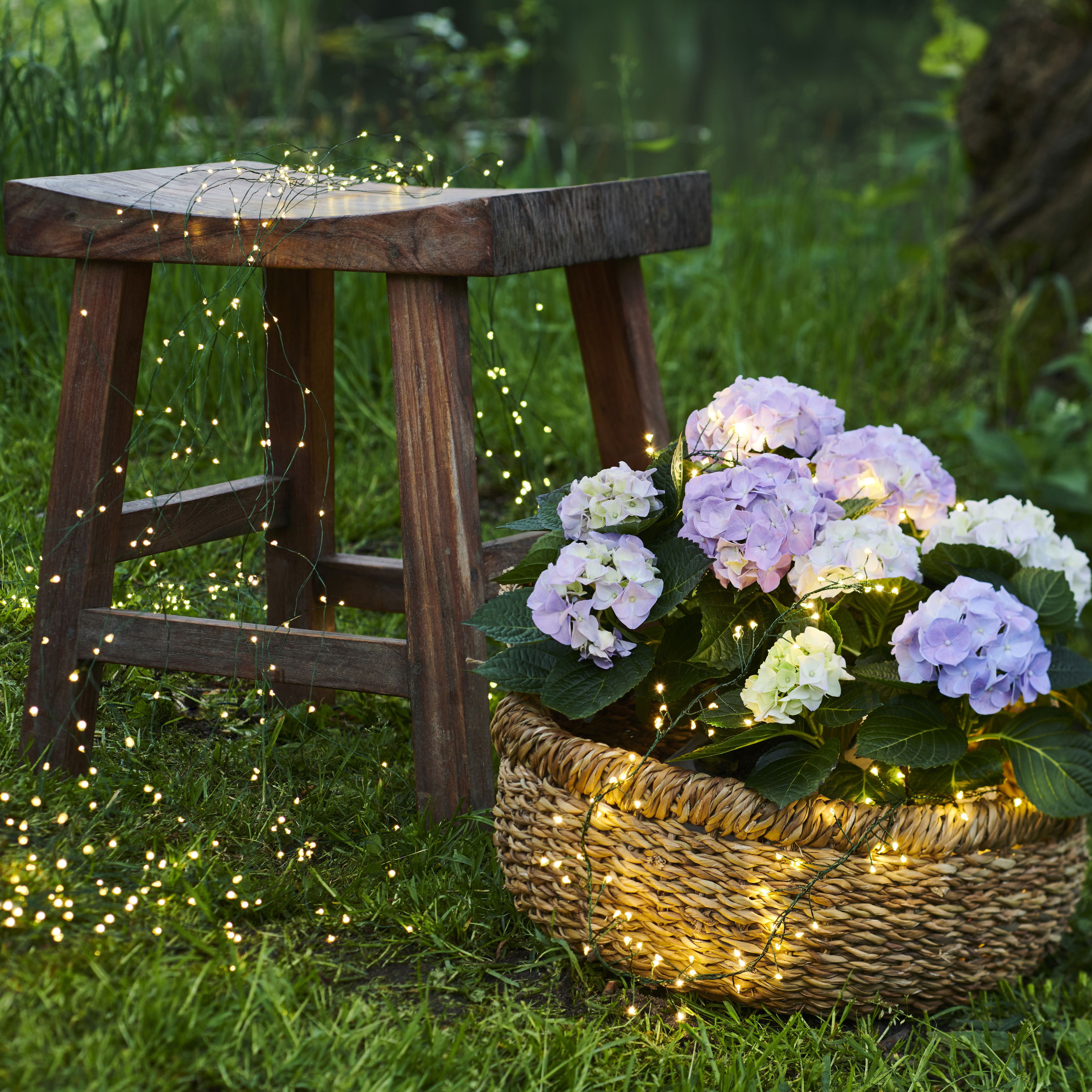 Knirke LED cluster med stik