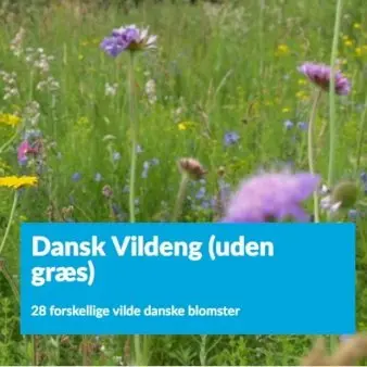 Dansk Vildeng (uden græs)