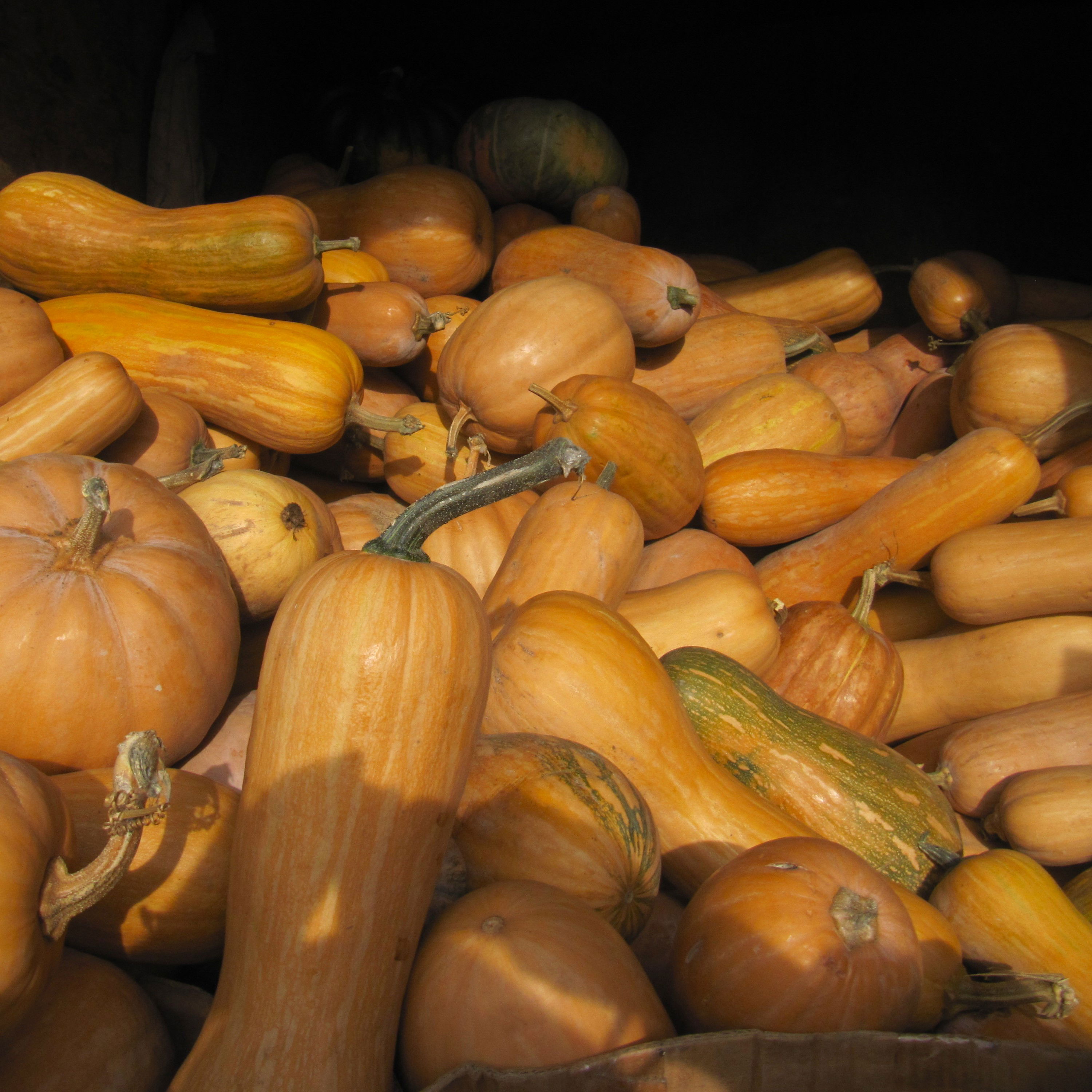 Mandelgræskar Vegetable Spagetti