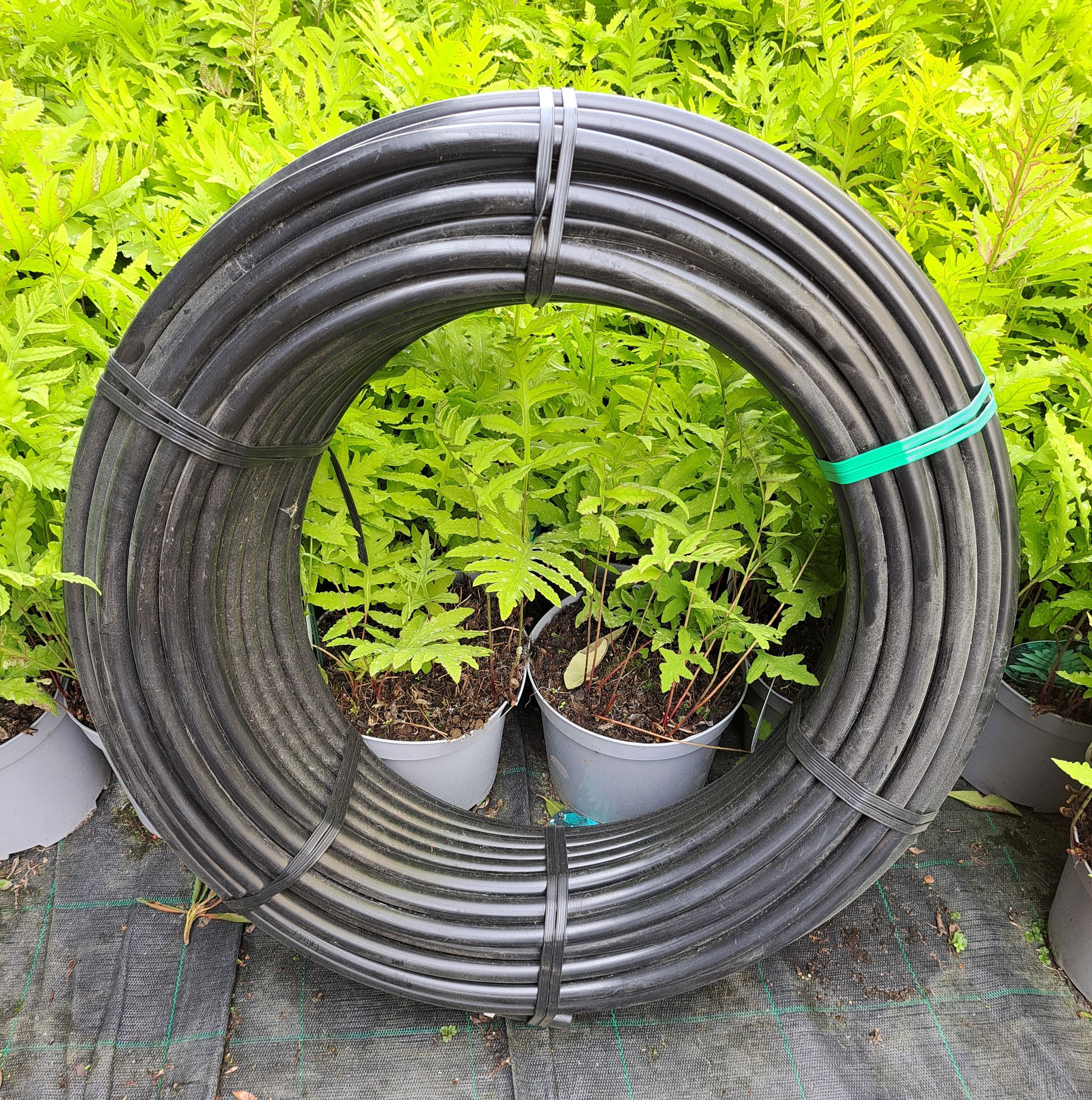 Hovedslange / PE-rør 20/4 mm., Hovedslange / PE-rør 20/4 mm., Alle vores PE-rør er med UV- beskyttelse, hvilket betyder de kan modstå solens stråler.