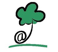 Rosa x &apos;Peach Meillandina&apos;, Buketrose &apos;Peach Meillandina&apos;,