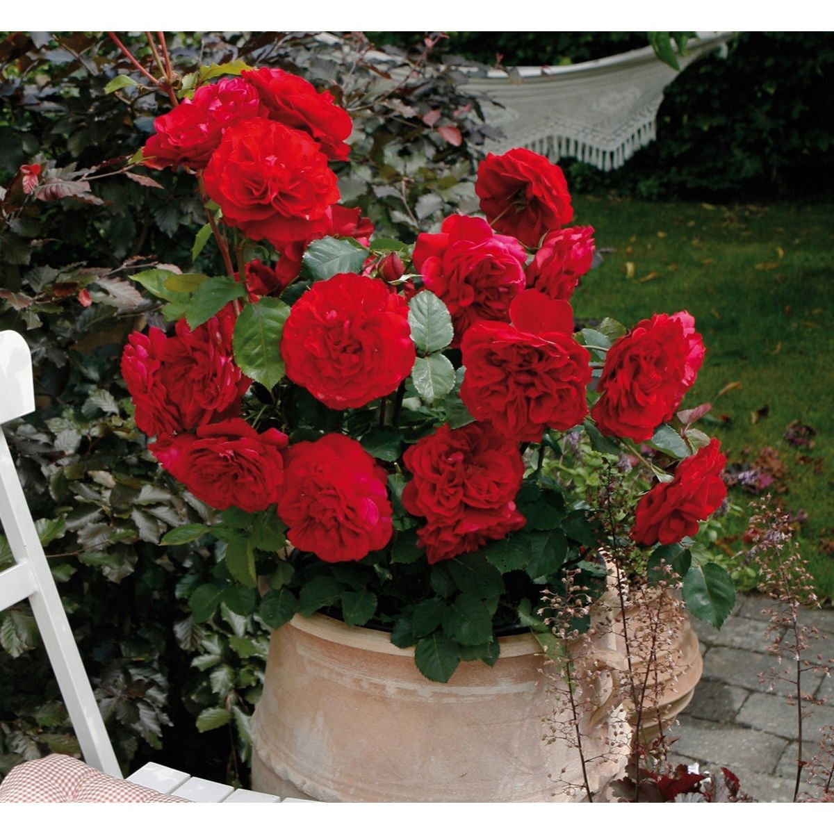 Look Good Feel Better