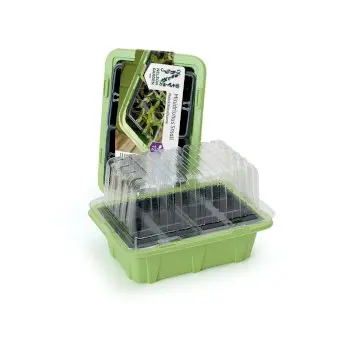 Mini-drivhus Small - 23 x 16 cm