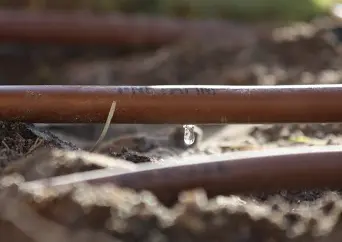 Den bedste siveslange på markedet

Vand op til 60 meter på en gang.