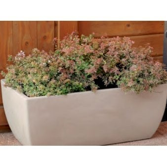 Kobe - Lave krukker til rumdeling - Havana, Model 80