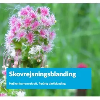 Skovrejsningsblanding