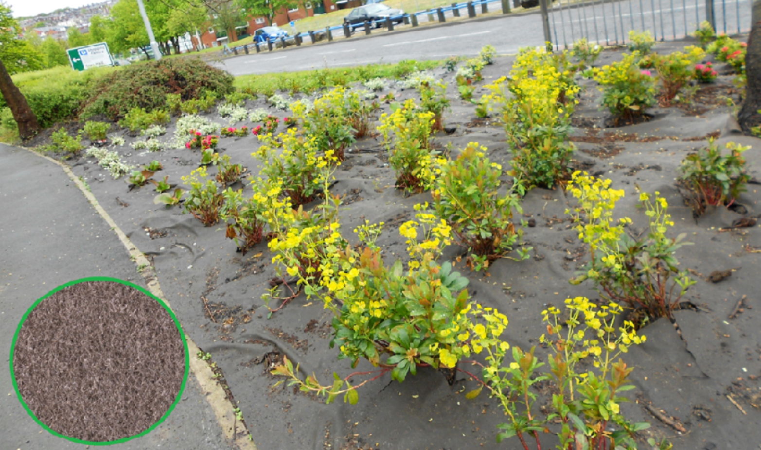 Biocovers - ukrudtsdug med små buske