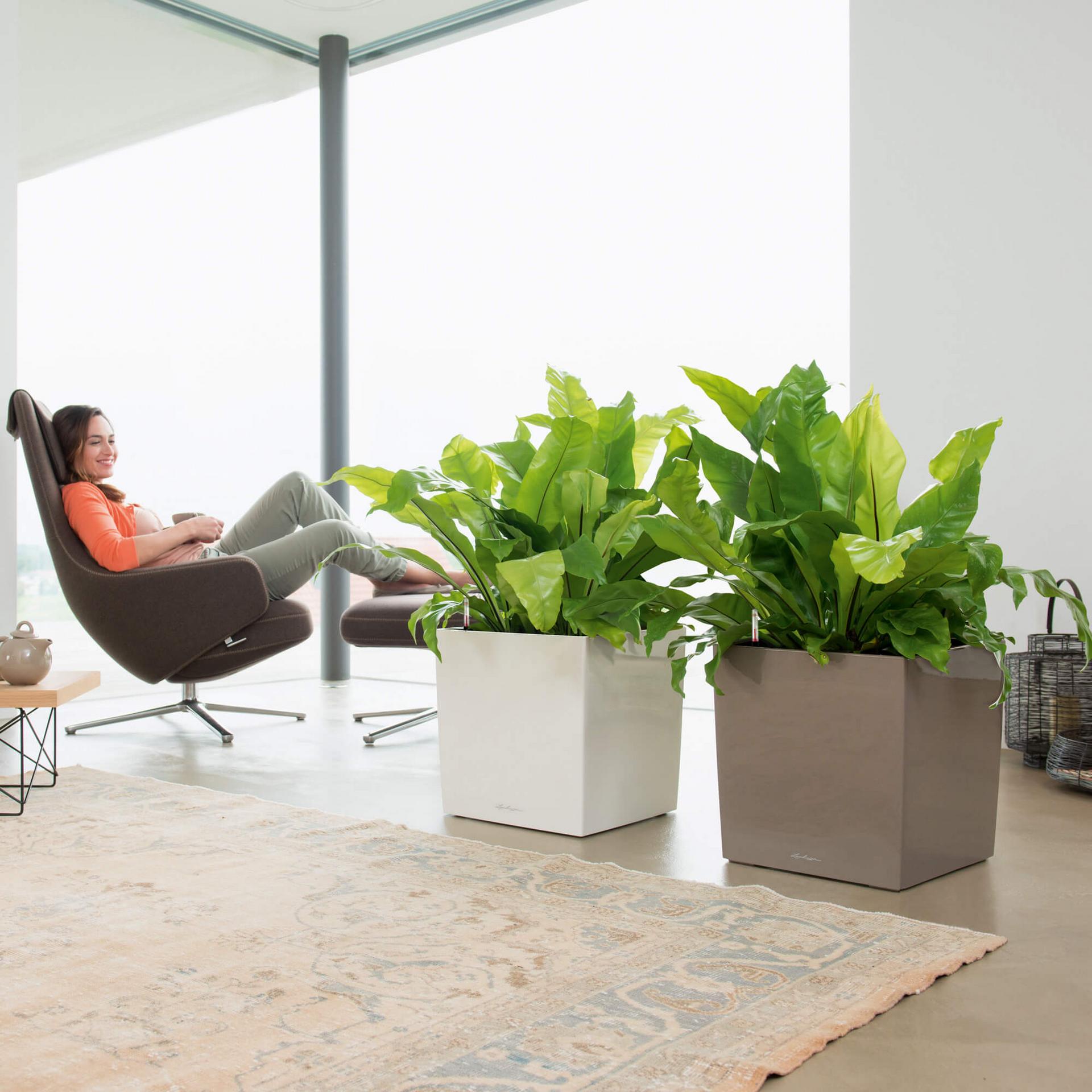 Lechuza CUBE hvid høj glans