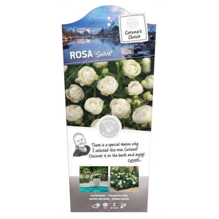 &apos;Hvid Morsdag&apos;