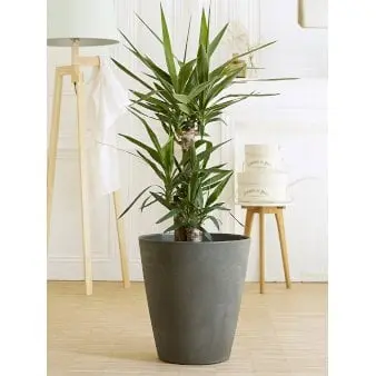 Material krukke - Ardoise - Ø38 cm