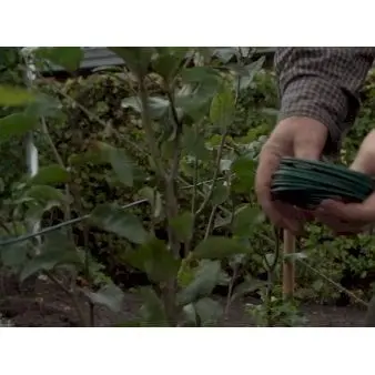 Komplet opbindingsgrej til hækplantning 5 m.