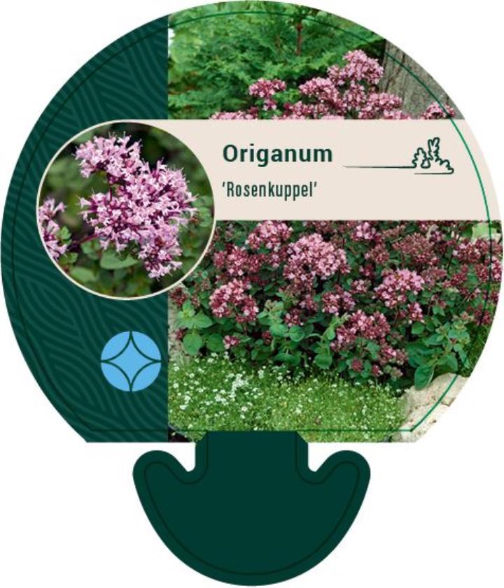 Pryd Merian - Potte 0,8 Liter