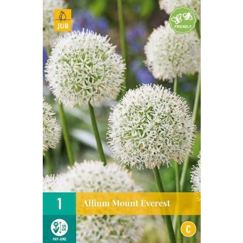 Prydløg Mount Everest