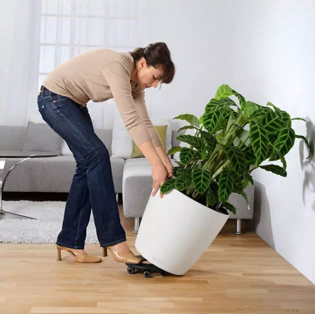 Lechuza classico med selvvanding