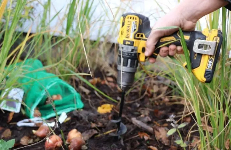 Plantebor til blomsterløg
