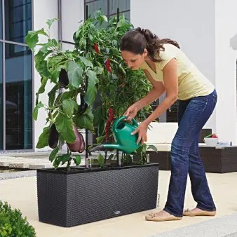 Espalier til trio krukke - Granit, Passer til krukke 30