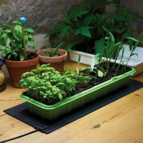 Varmemåtte 230V, 50x23cm, Varmemåtte 230V, 50x23cm, Den rigtige varme og belystning betyder alt for at få frø til at spire. Varmen fra måtten giver frøene de perfekte forhold til at spire, og frøene vokser op til dobbelt så hurtigt.