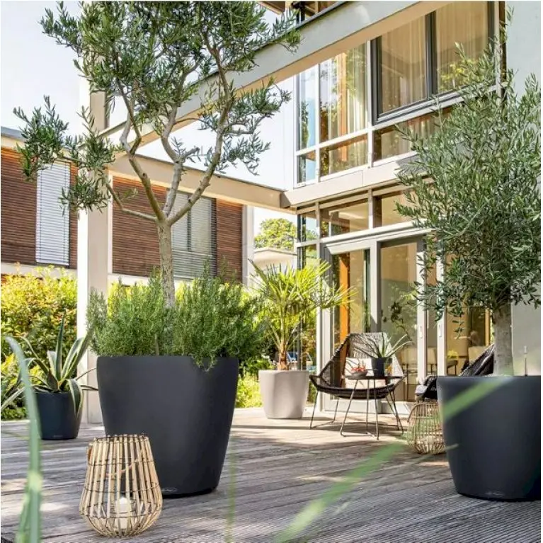 Lechuza Classico Color - Model 60