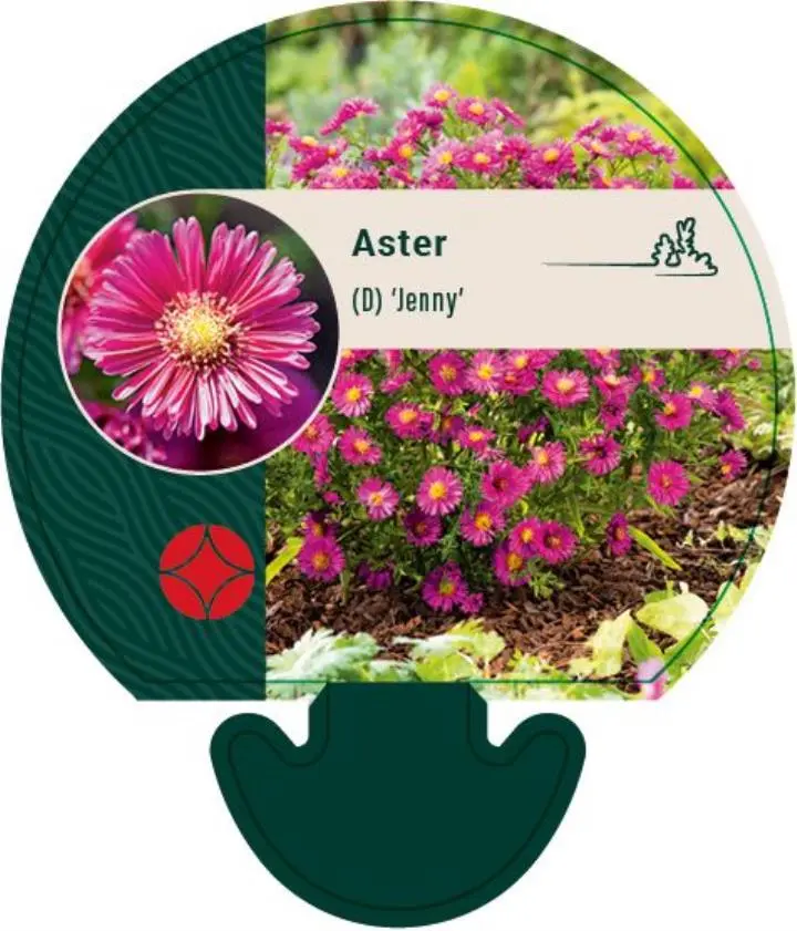 Pudeasters 'Jenny' - Potte 0,8 Liter