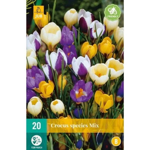 Botaniske Krokus Species mix