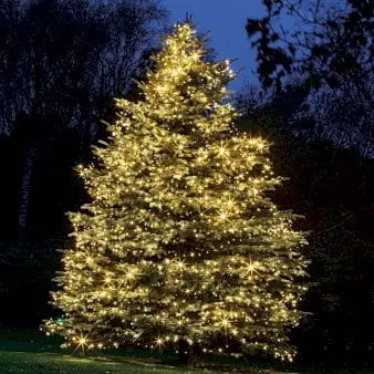 Sirius Top-Line LED lyskæde