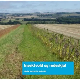 Insektvold og redeskjul