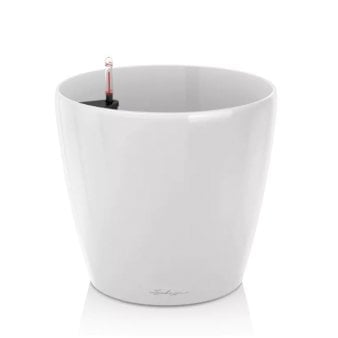 Lechuza Classico Premium - Model 70 - Hvid med højglans