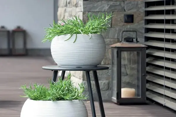 Furu_Bowl_DBFUK_S449_lysgr_400