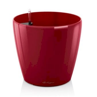 Lechuza Classico Premium - Model 70 - Rød med højglans