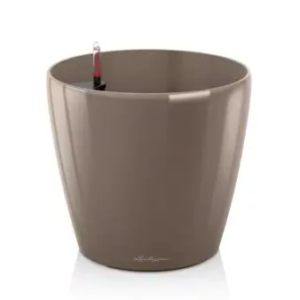 Lechuza Classico Premium - Model 70 - Taupe med højglans